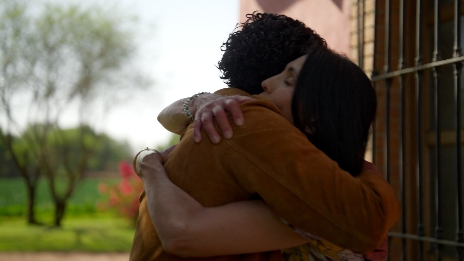 Campañas Pollo Feliz